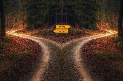 new year, decision, path, signpost, crossing