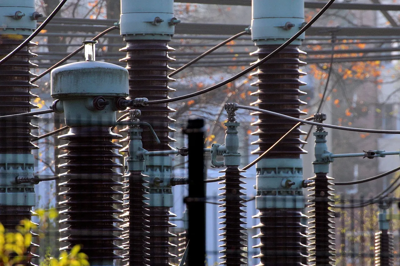 Rows of ceramic insulators and overhead conductors at an electricity substation, with autumn trees behind