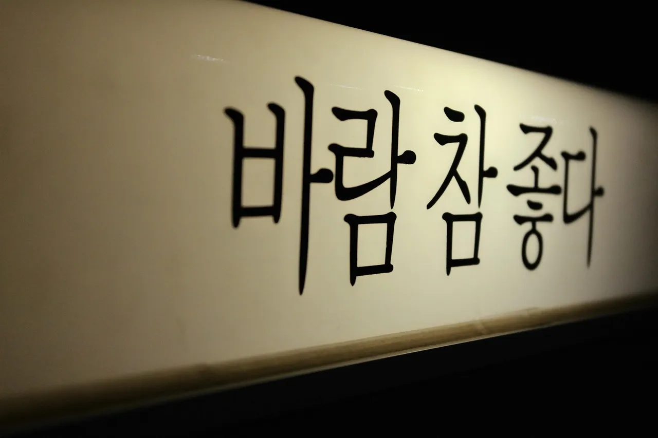 Korean words in Hangul lettering on a lit signboard