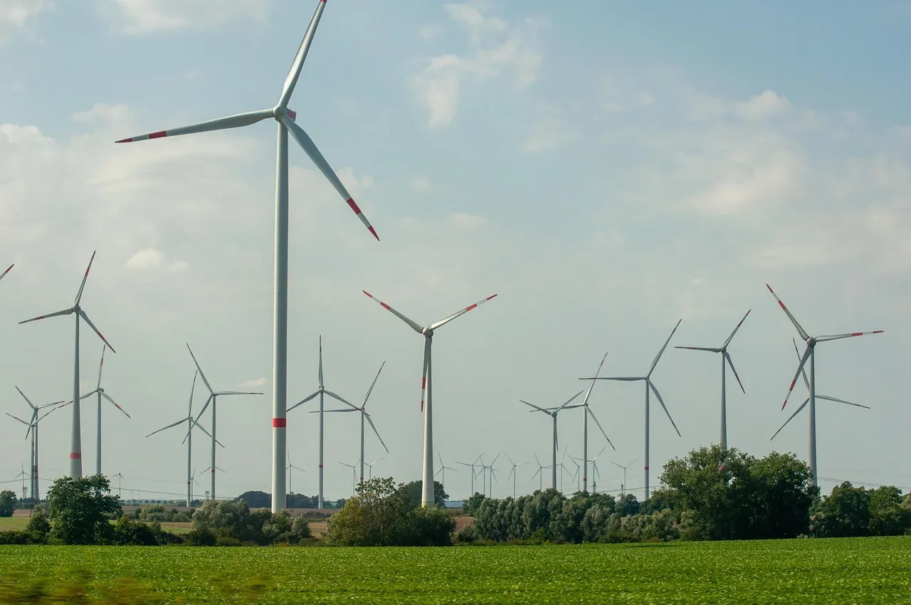 A field of wind turbines under open sky — illustrating the unstaffed remote sites whose cellular links became the route into Poland's grid.