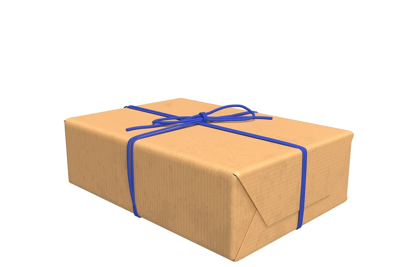 A parcel wrapped in plain brown paper and tied with blue string, photographed against a white background