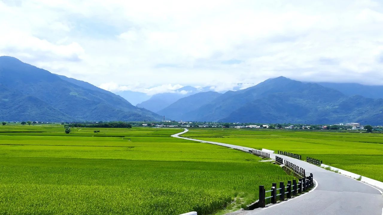Green rice fields and a winding road beneath a mountain range