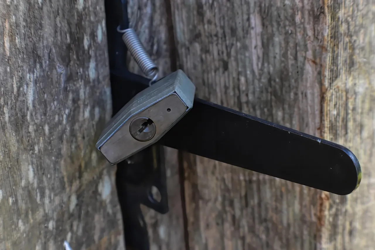 A padlock hanging on the latch of a wooden door