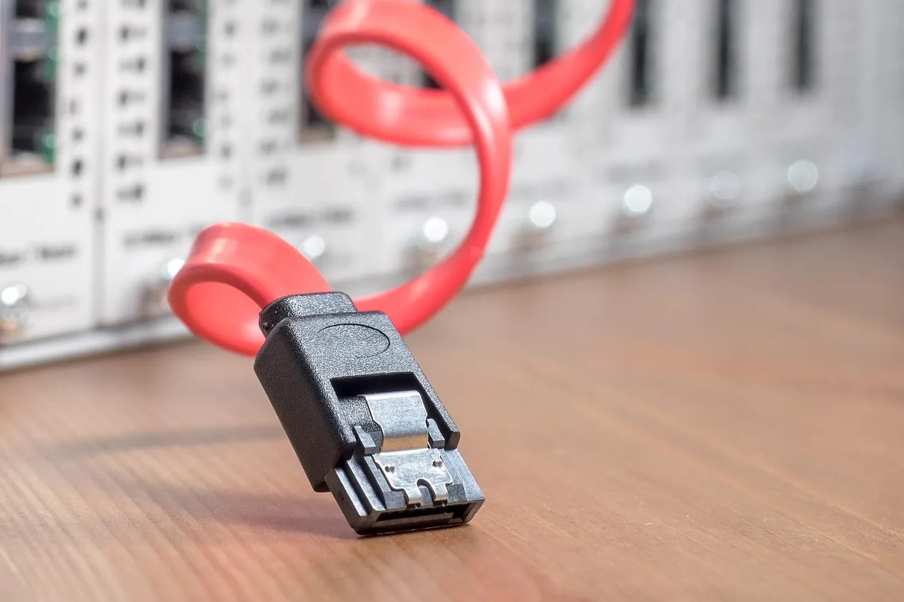 A red network patch cable coiled in front of a server rack — illustrating the remote-access gateway at the centre of this campaign.