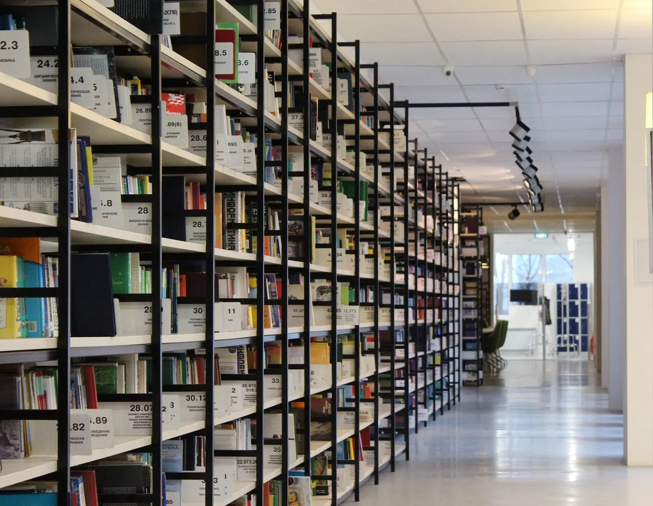 A long aisle of library shelving filled with catalogued and numbered volumes, receding towards a bright window