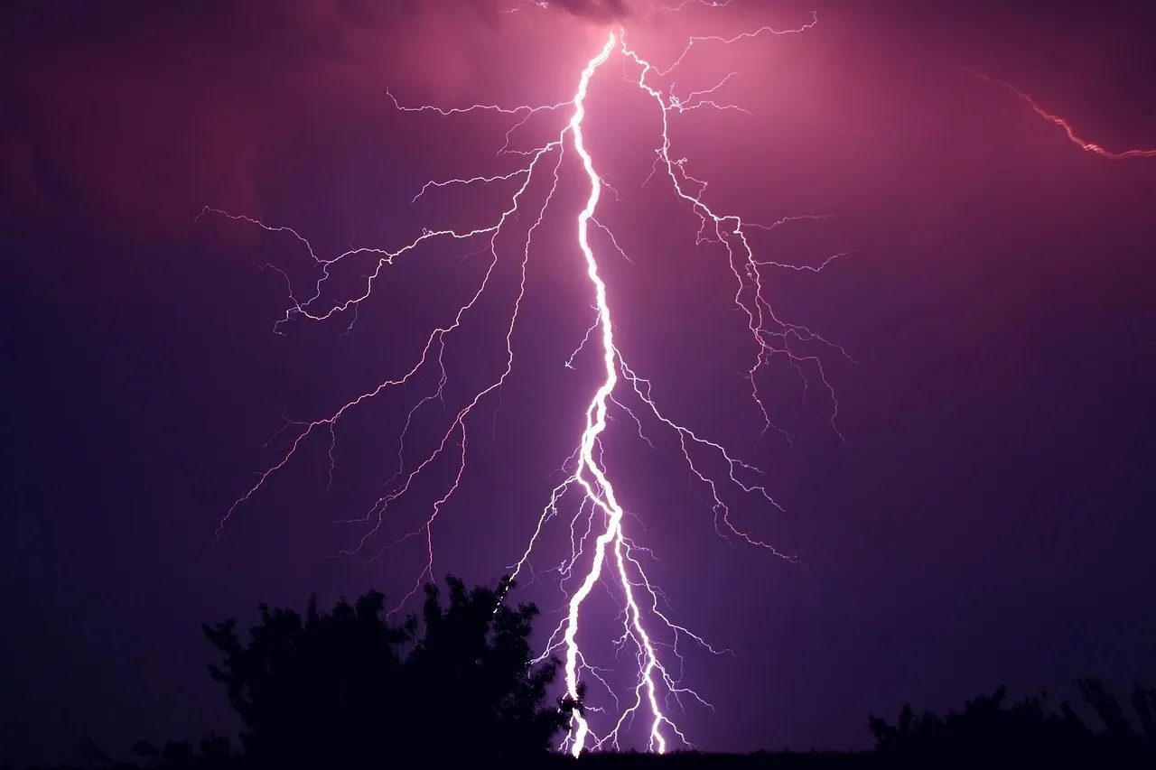 A single lightning bolt striking down from a purple night sky above dark trees
