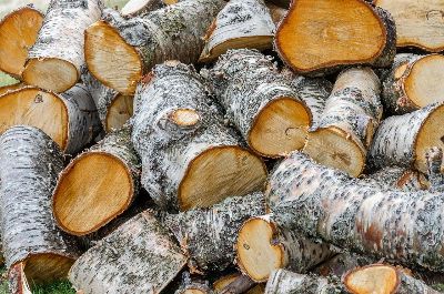 pile, firewood, log, material, cut